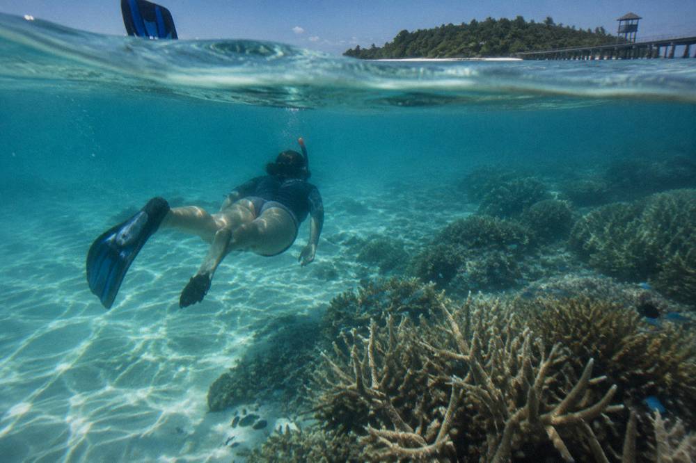 A snorkeller in shallow water above coral and small tropical fish near a sandy shore