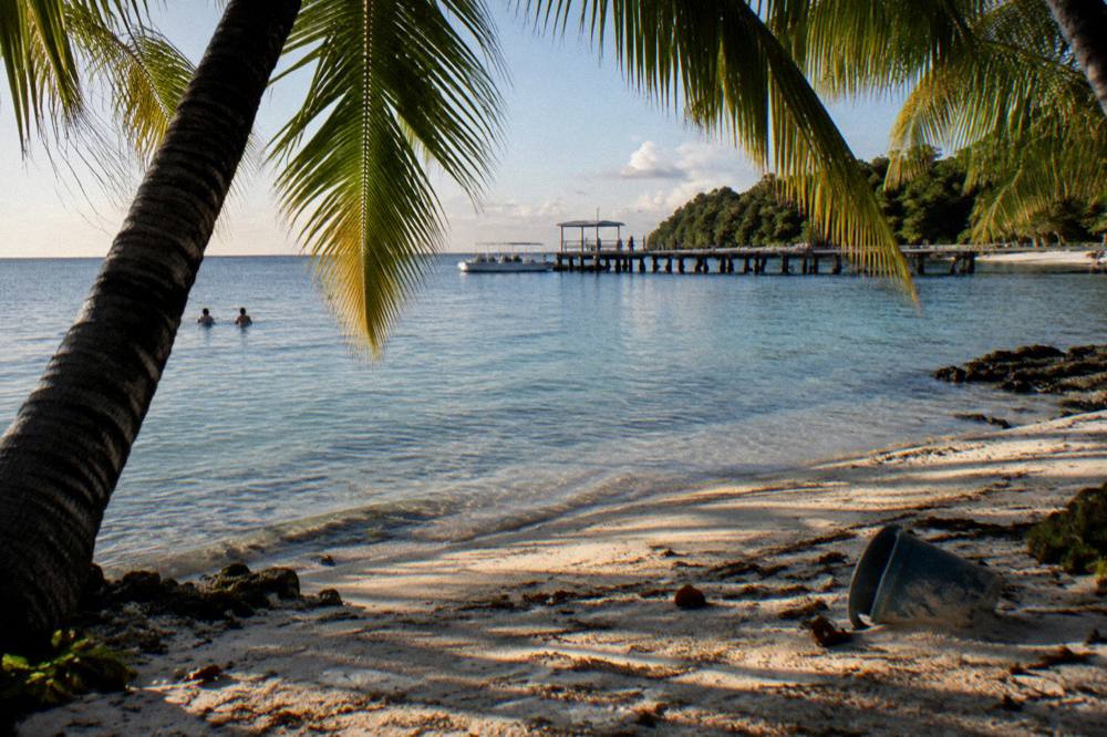A sheltered sandy cove with calm water, palm shade and a distant jetty