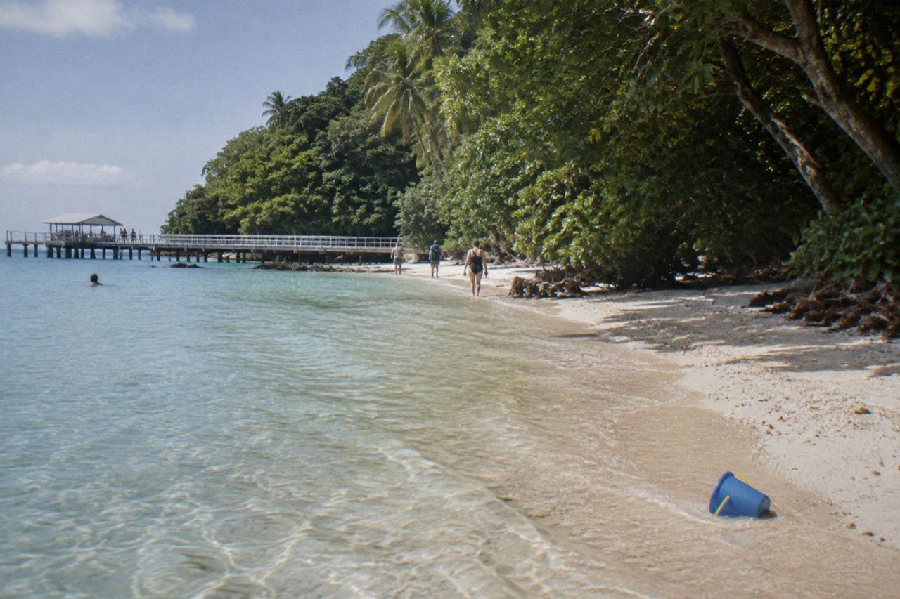 A calm sandy beach with shallow clear water and rainforest trees behind it on a tropical island
