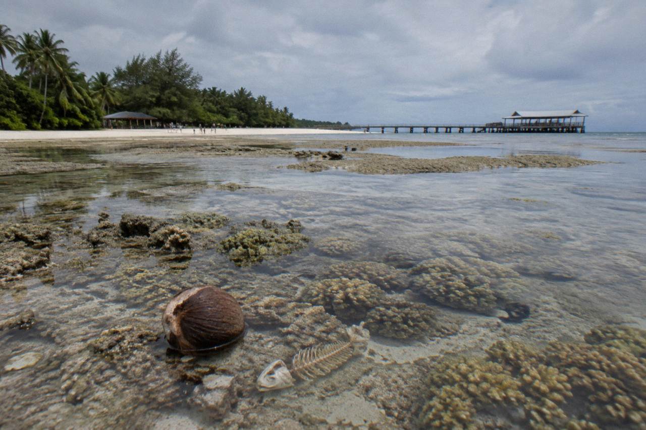 Coral reef and clear shallow water at a tropical island cay