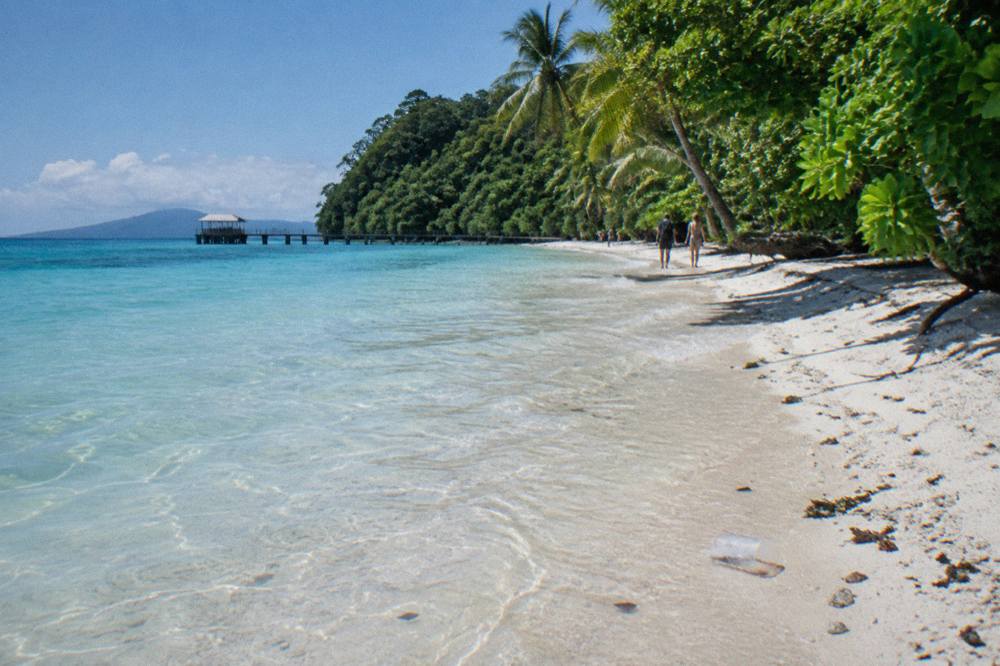 A tropical beach with calm turquoise water and dense green rainforest behind the sand