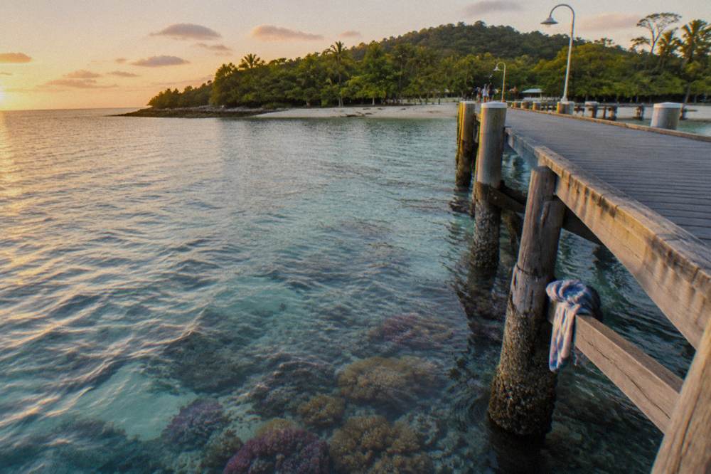 A timber jetty extending over clear shallow reef water with coral visible below
