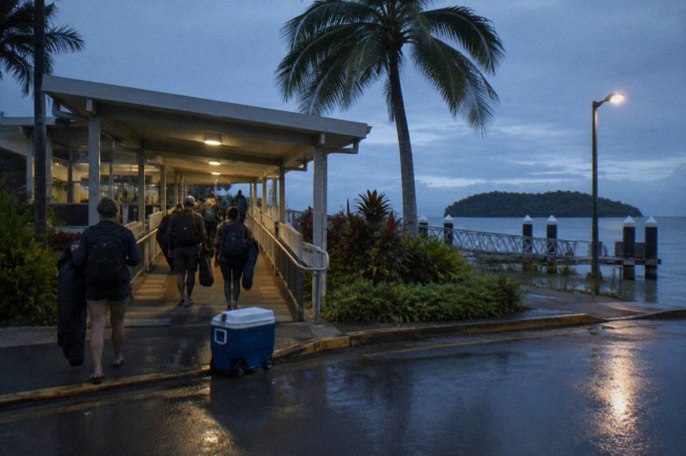 Reef trip catamarans moored at Marlin Wharf in Cairns before morning departures